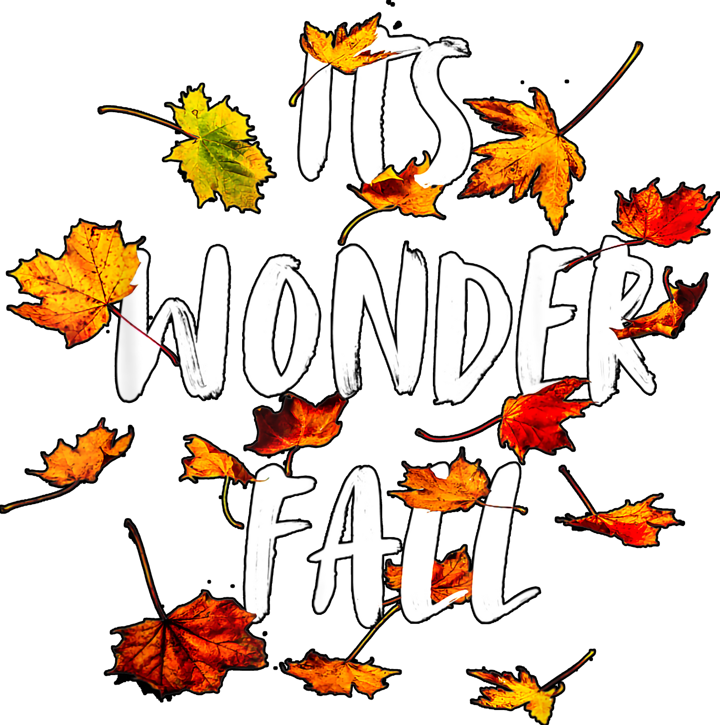 It’s Wonder Fall