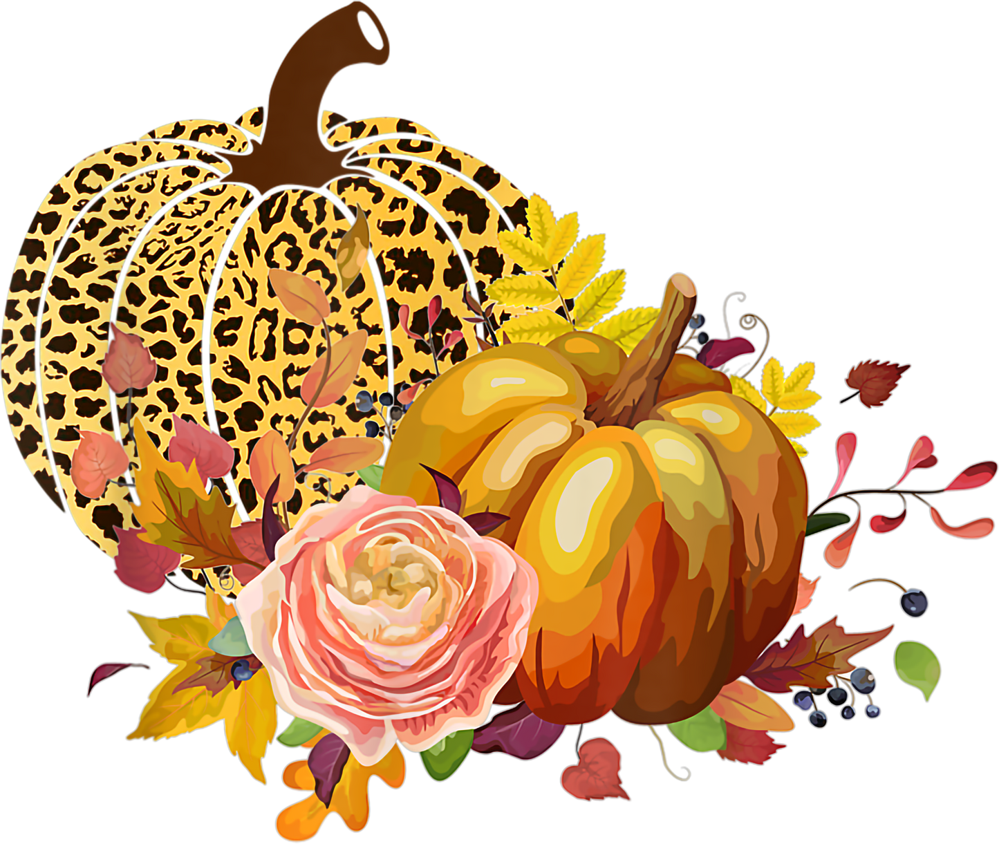 Leopard Pumpkins Flowers