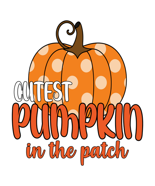 Cutest Pumpkin in the patch