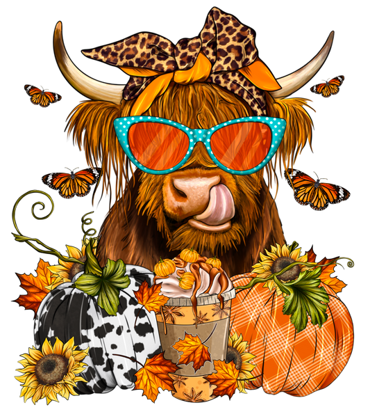 Highland Fall Cow